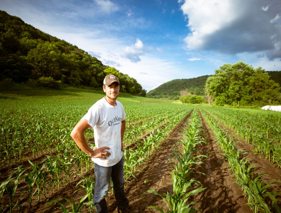 NEW FARM TODAY