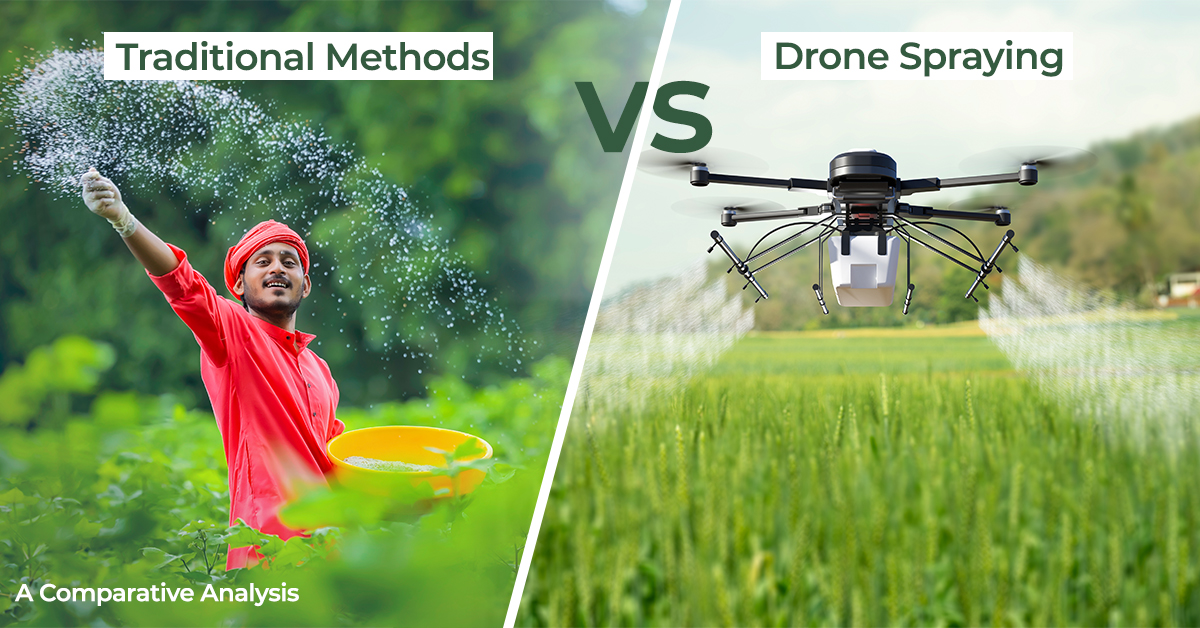 Traditional method versus drone spraying method